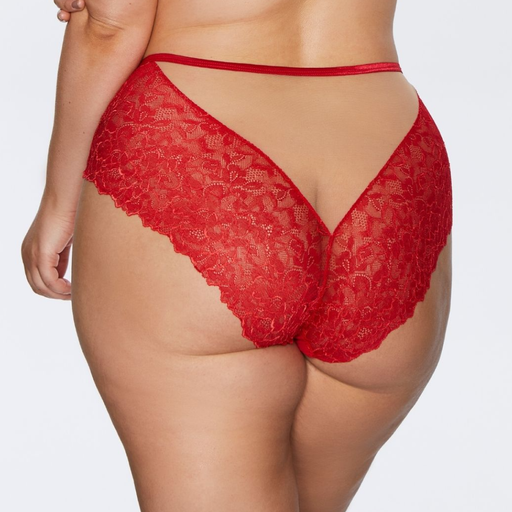 Back view of Soft Lace High Waist Brief Panty Plus Size by Kinga, showcasing full lace coverage, V-cut design, and elegant satin waistband.