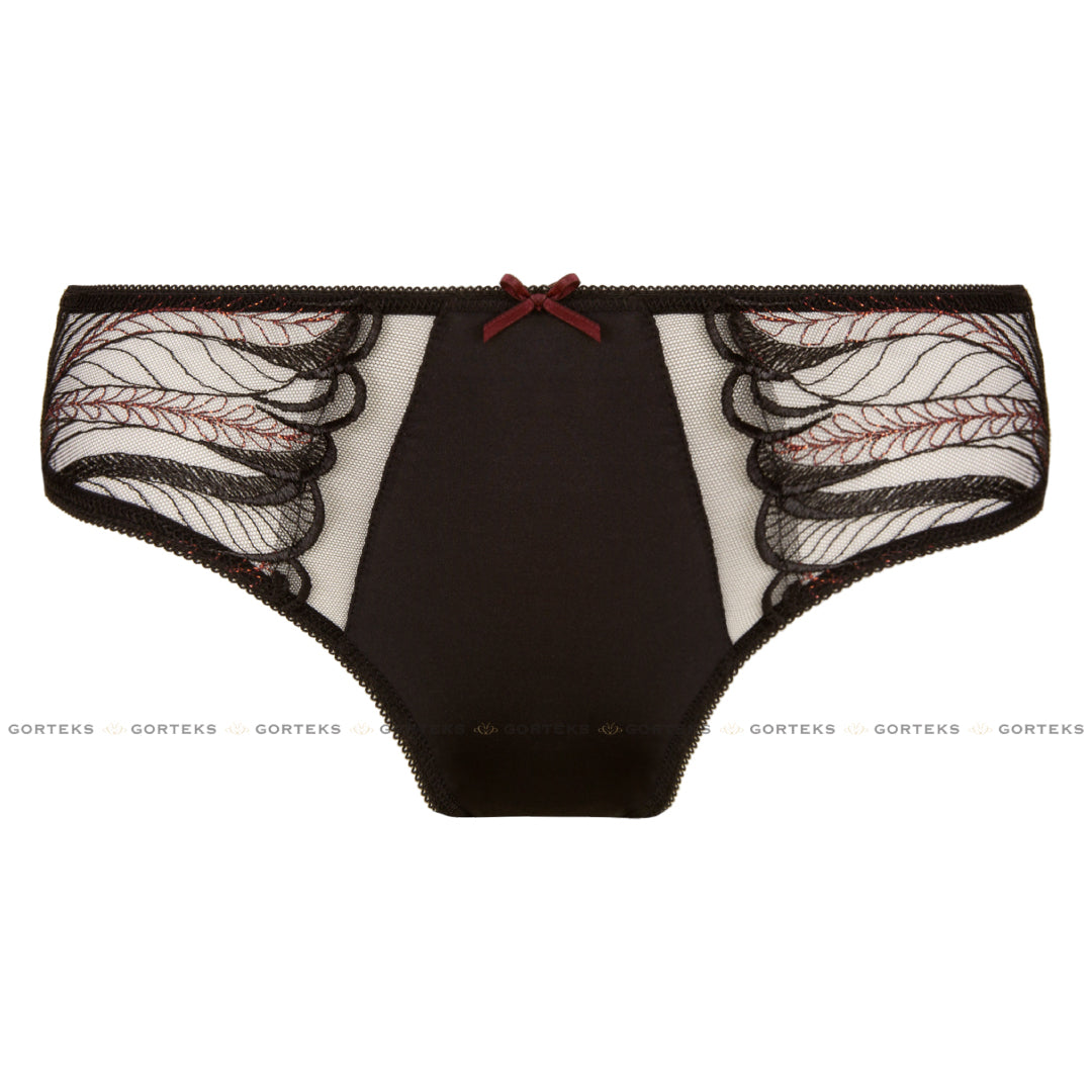 Semi Sheer Lace Bikini Panty Gorteks Salve