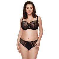 Semi Sheer Lace Bikini Panty Gorteks Salve