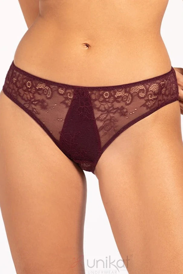 Sheer Mesh Lace Low Rise Bikini Panty Burgundy Underwear
