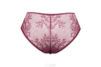 Sheer Lace Bikini Panty back view