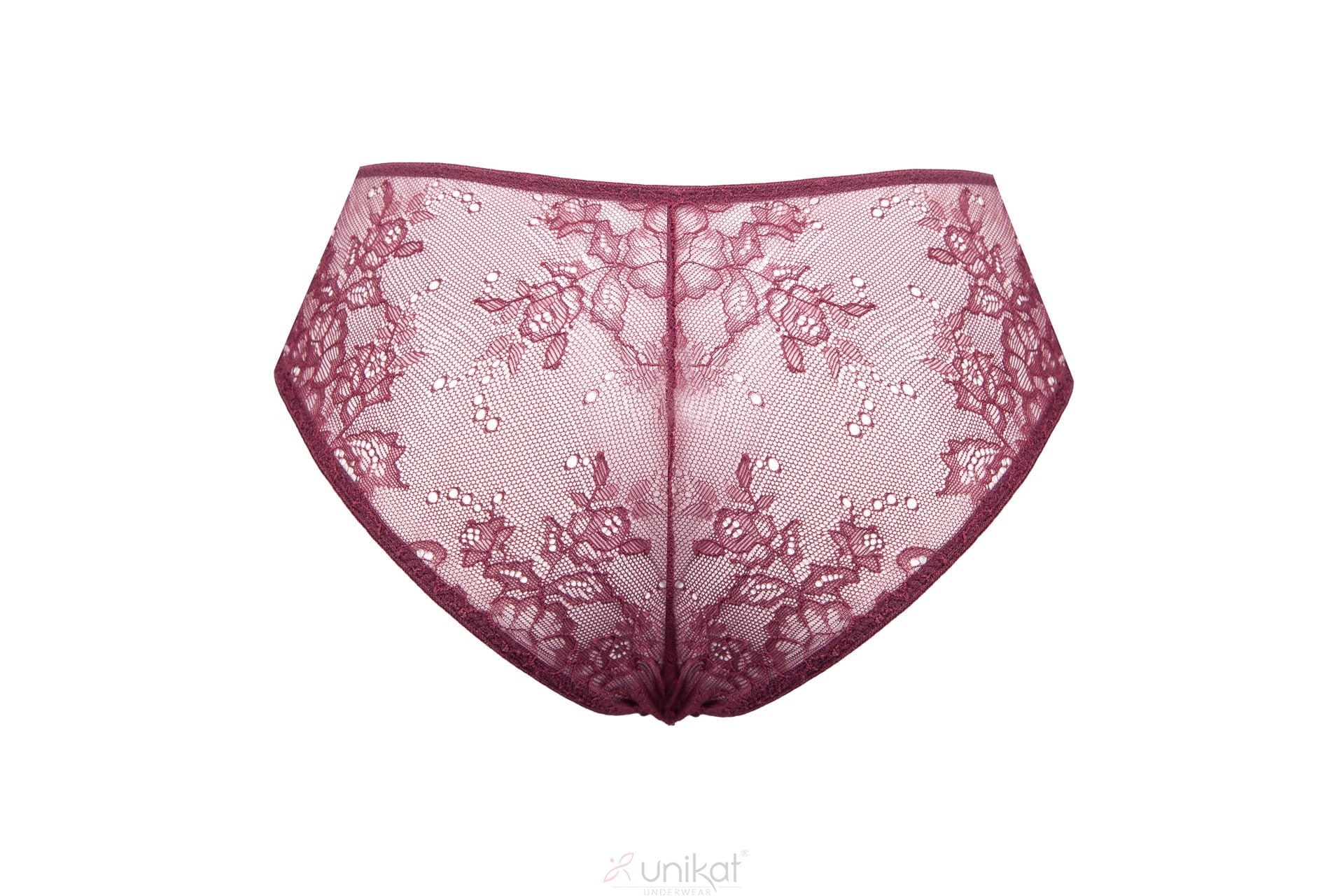 Sheer Lace Bikini Panty back view