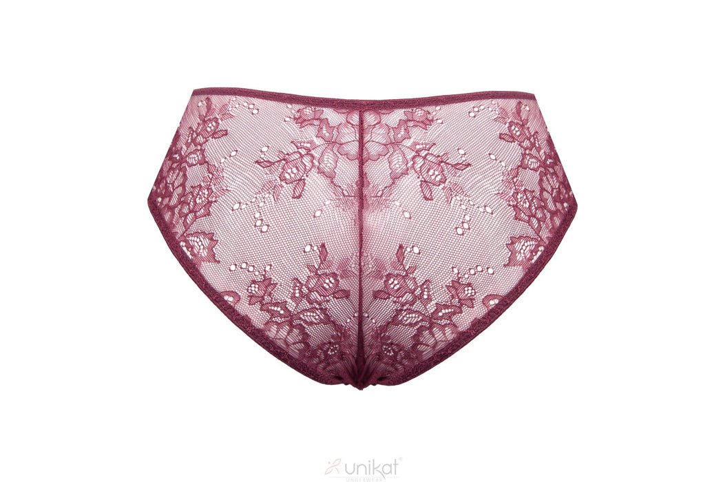 Sheer Lace Bikini Panty back view