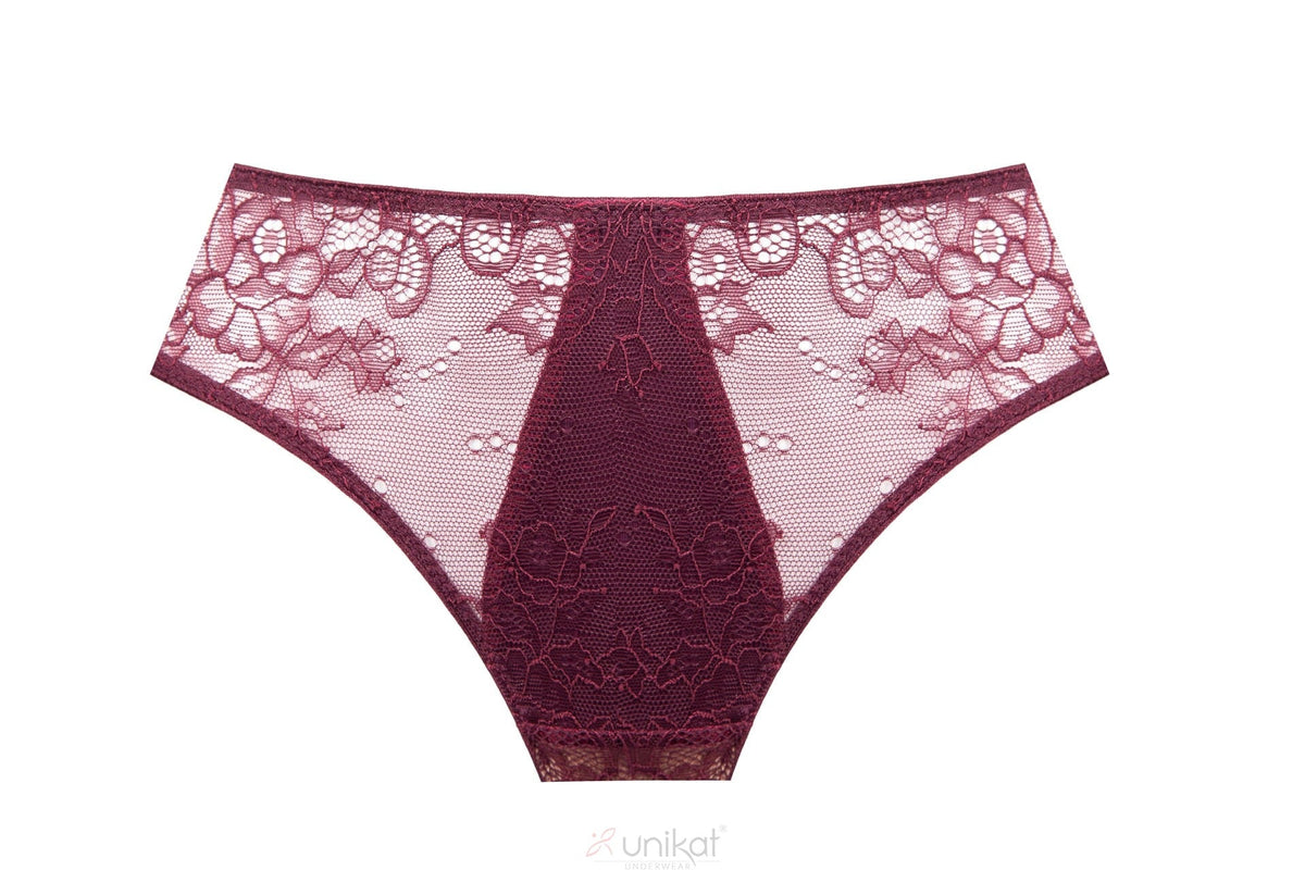 Sheer Lace Bikini Panty Burgundy Lingerie