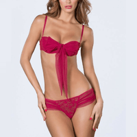 Sheer Tie Bra & Thong Panty Set Oh La La