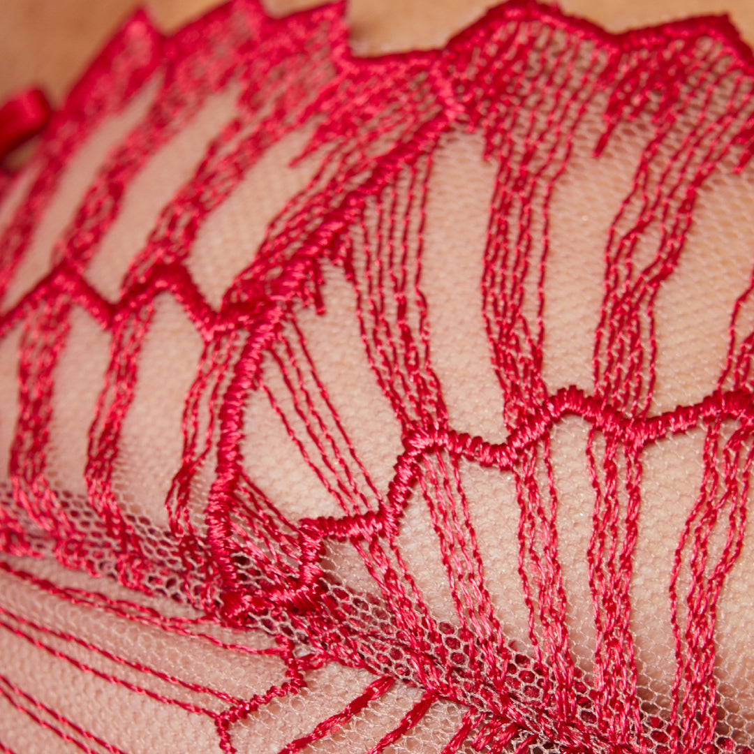 Sheer Mesh Embroidery Full Coverage Bra Gorteks Sierra