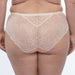 Sheer Mesh Tulle Embroidered Brief Panty Anabelle Beige Lace Lingerie