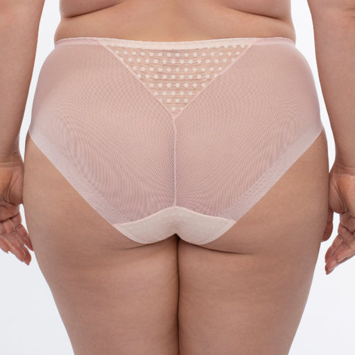 Sheer Mesh Brief Panty Donna Pink Lingerie back view