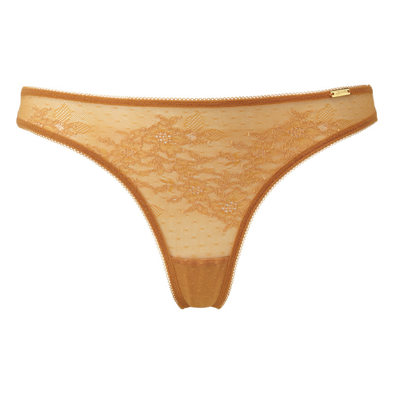 Sheer Lace Thong Panty Gossard Glossies Lace Spiced Honey — Lavinia