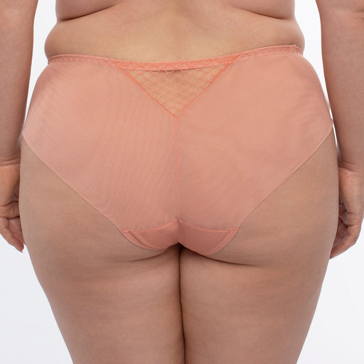 Sheer Bikini Panty Plus SIze Pink Underwear back view