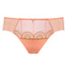 Sheer Mesh Tulle Bikini Panty Lea Pink Intimates