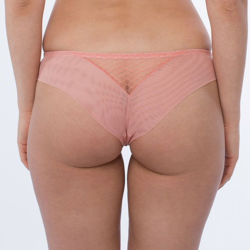 Sheer Mesh Tulle Tanga Panty Lea Pink Underwear back view
