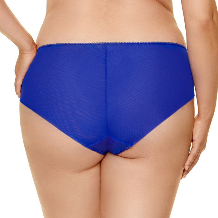 Semi Sheer Low Rise Bikini Panty Gorteks Pamela Sapphire plus size back view
