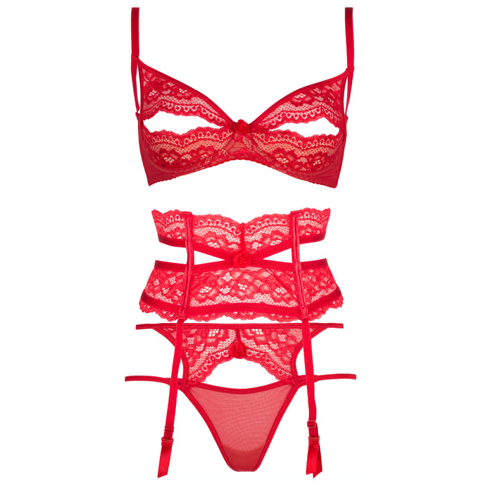Axami Sexy Lace Open Bra String Thong Garter Belt Red Intimates Set V-6721 V-6722 V-6728
