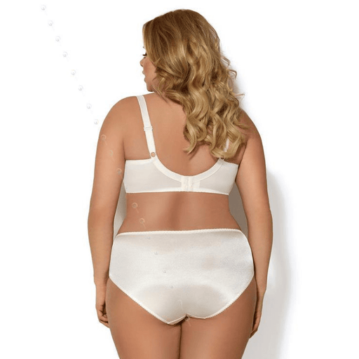 Plus Size Brief Panty Gorsenia Claire GSK354 Gorsenia Lingerie Brief Panty