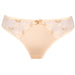 Mesh Tulle Embroidered Tanga Panty Beige Lingerie back view